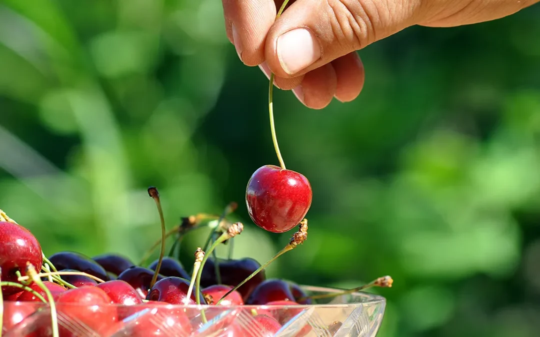 Priorisieren in Workshops – Wer zuerst kommt …